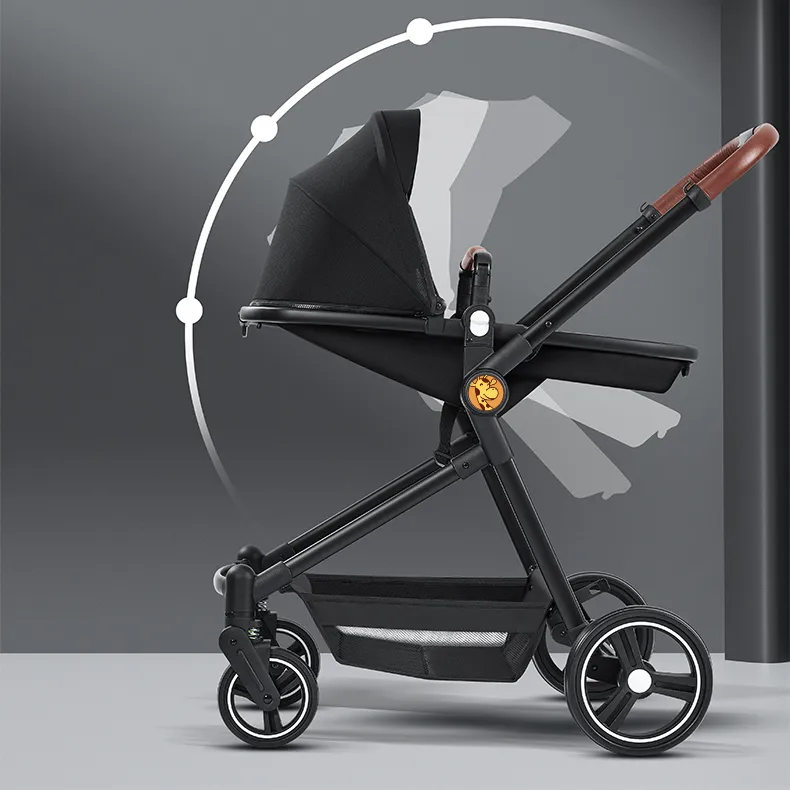 Portable Tandem Stroller & Car Seats